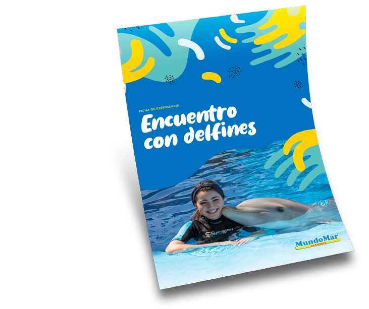 Imagen Banner