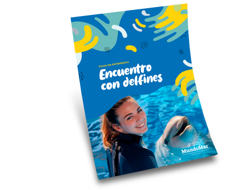 Imagen Banner