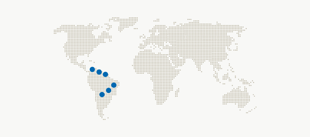 34-Tortuga-terrestre-patas-rojas