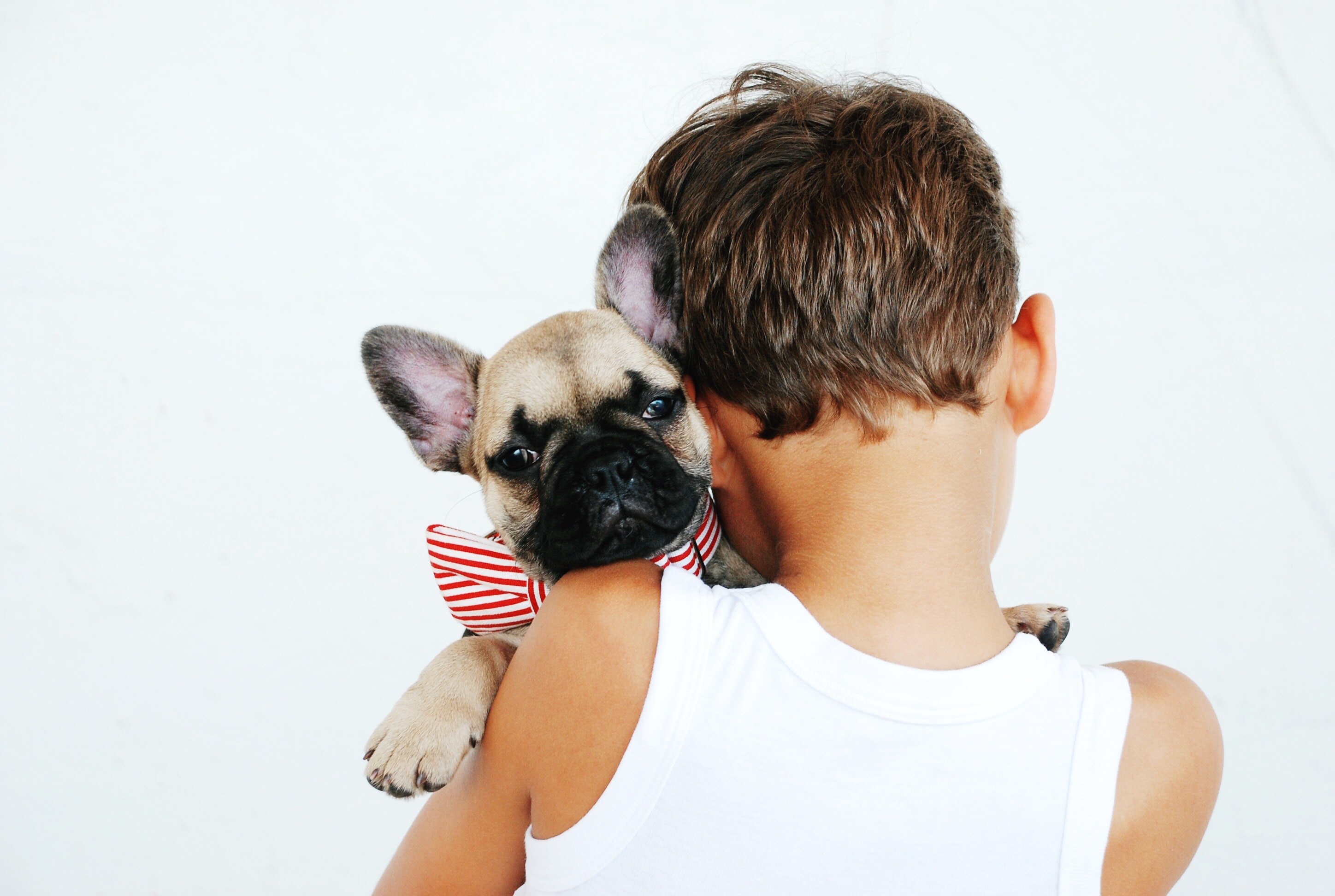Niño sujetando a perro en brazos
