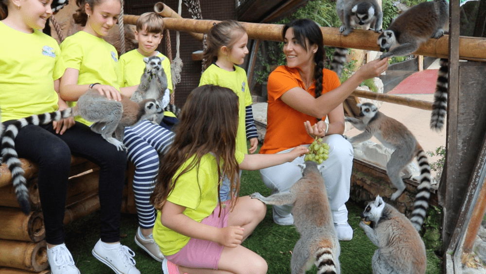 Monitora de Mundomar ilustra a unos niños en su escuela de verano