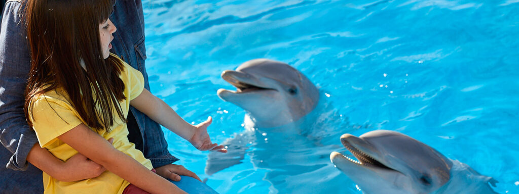 niña con delfines en mundomar
